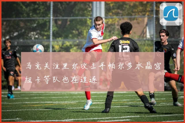马竞关注里尔攻击手帕尔多水晶宫纽卡等队也在追逐